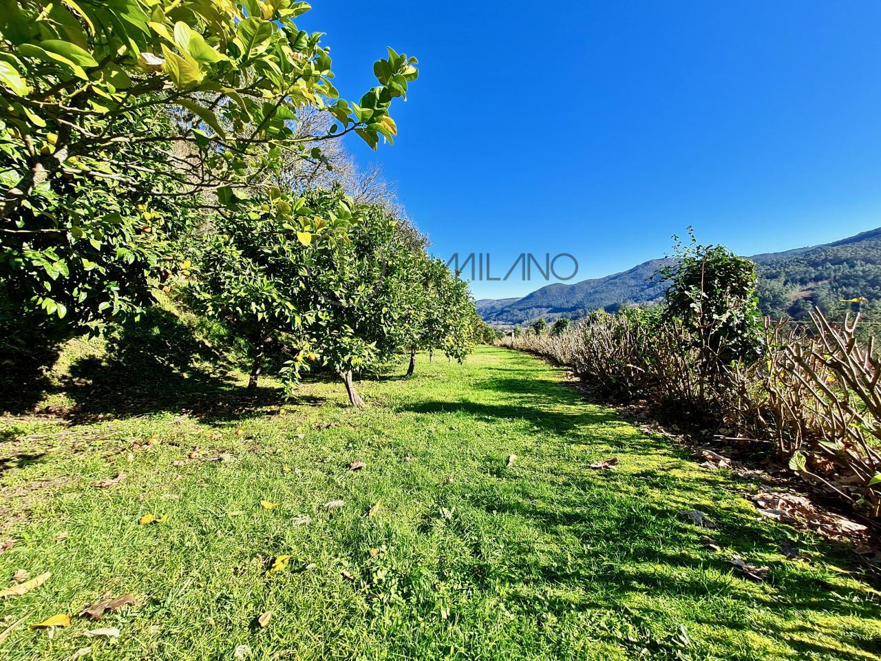 Casa Rural en O Lugar (Gondomar)