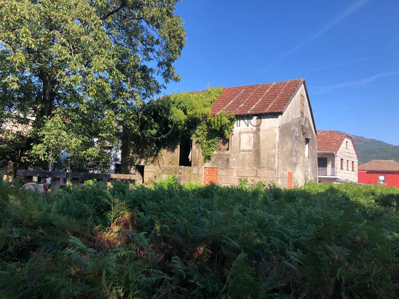 Casa rústica a reformar con parcela de 5447 m2 en Louredo, Mos
