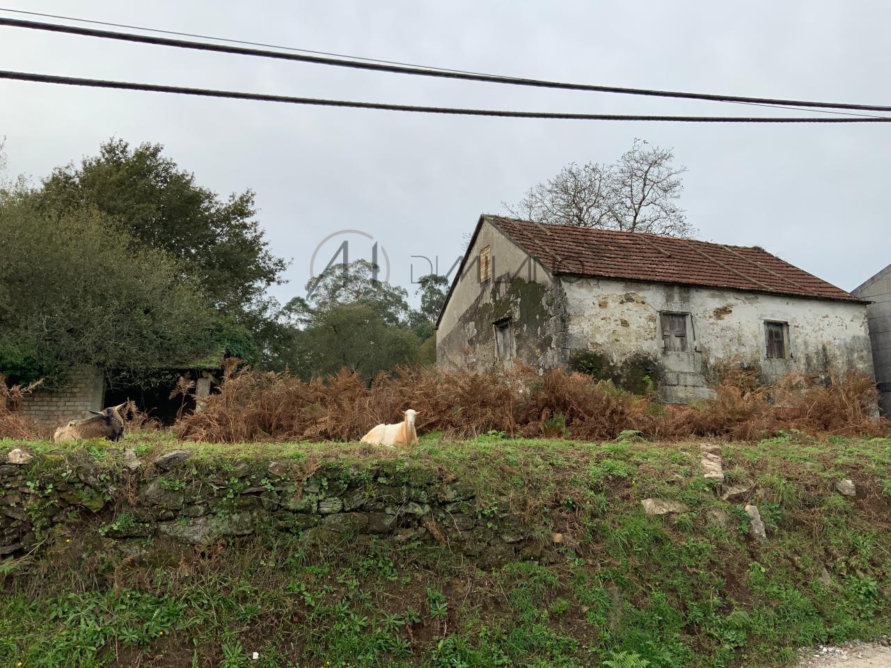 Casa rústica a reformar con parcela de 5447 m2 en Louredo, Mos