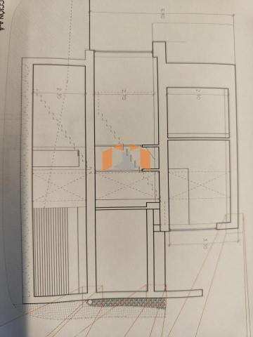 Imagen 11 de Matamá