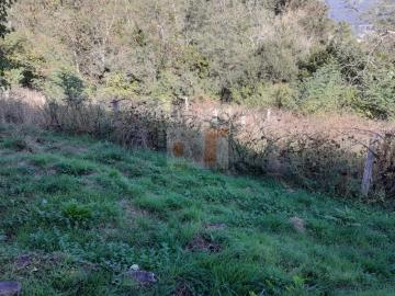 Imagen 4 de Virxe do Carme de Moaña