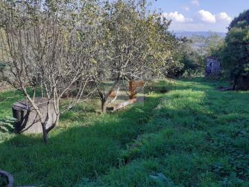 Imagen 12 de Virxe do Carme de Moaña