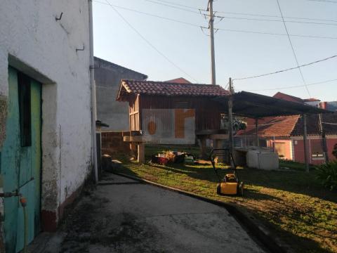 Imagen 3 de San Martiño de Moaña