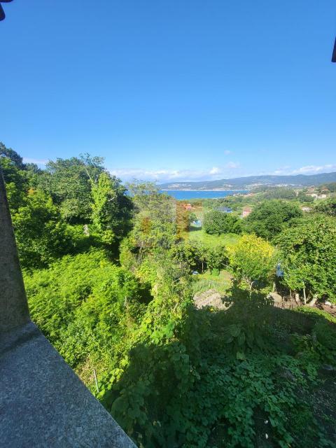 Imagen 7 de Cangas