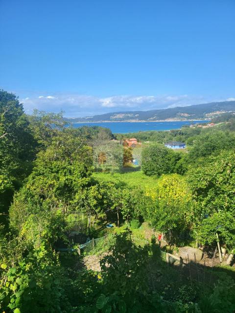 Imagen 23 de Cangas