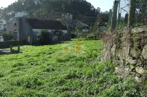 Imagen 2 de Cangas Población