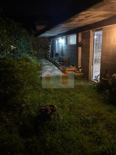 Imagen 7 de O Campo