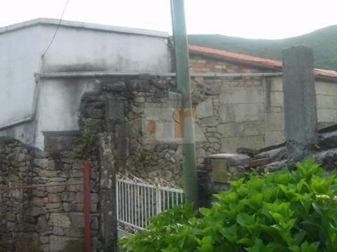 Imagen 16 de O Campo