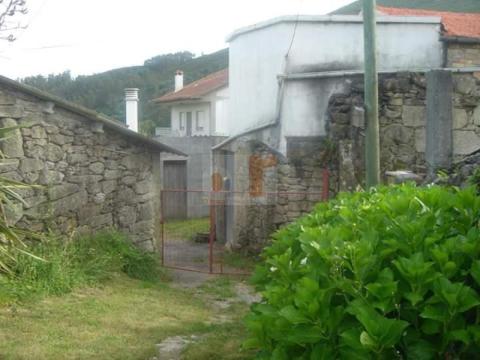 Imagen 18 de O Campo