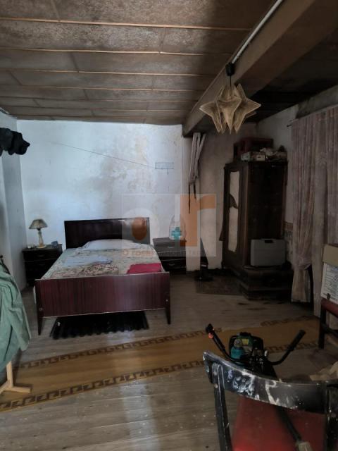 Imagen 22 de Tirán