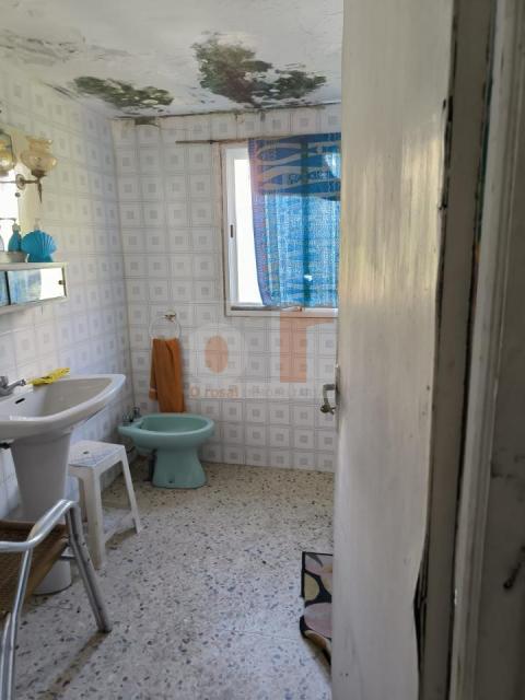Imagen 21 de Tirán