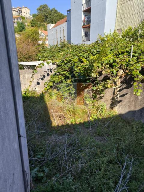 Imagen 31 de Tirán