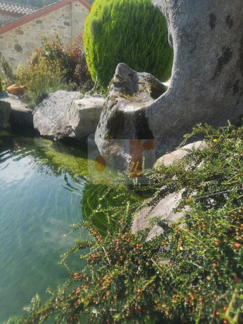 Imagen 26 de Virxe do Carme de Moaña