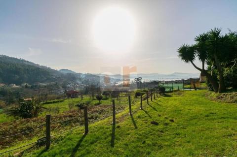 Imagen 17 de Virxe do Carme de Moaña