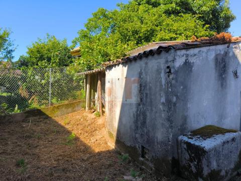 Imagen 9 de Virxe do Carme de Moaña