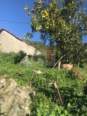 S000067 Venta de terreno en San Martiño de Moaña