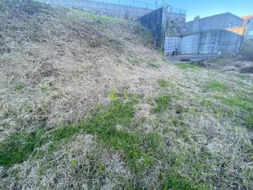 Imagen 7 de Cela