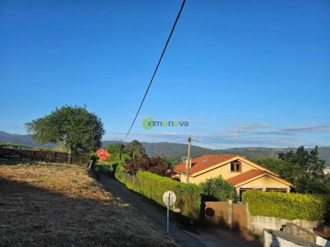 Imagen 2 de Pereiras
