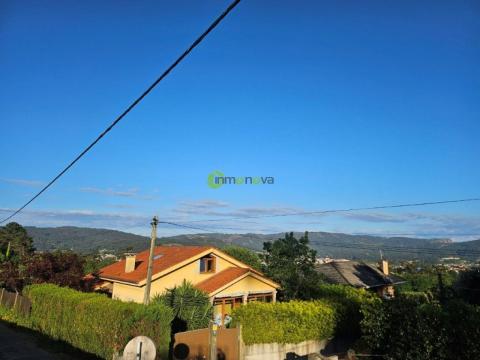 Imagen 3 de Pereiras