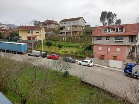 Imagen 2 de Tameiga
