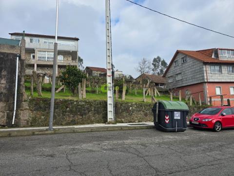 Imagen 8 de Tameiga
