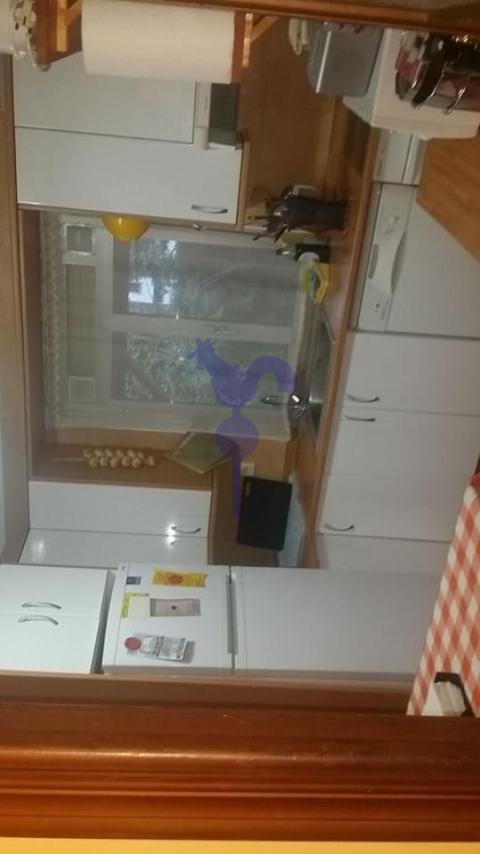Imagen 23 de San Lorenzo - La Palomera - San Mamés