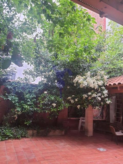 Imagen 25 de San Lorenzo - La Palomera - San Mamés