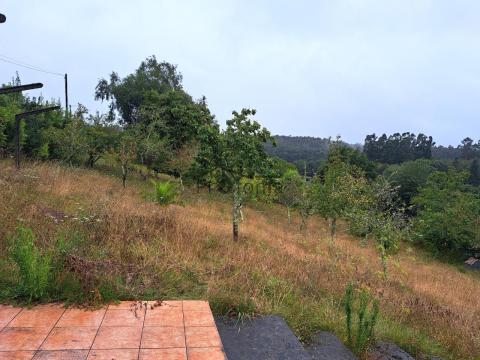 Imagen 41 de Ambroa