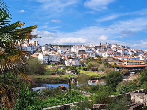 Imagen 5 de Tiobre