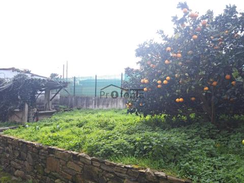 Imagen 26 de Oza-Cesuras