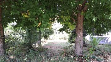 Imagen 4 de Colantres