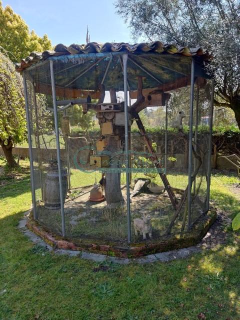 Imagen 8 de Ribadelouro