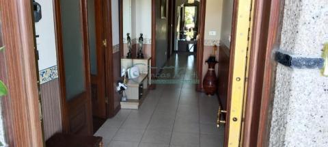 Imagen 16 de Ribadelouro