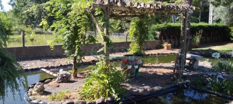 Imagen 42 de Ribadelouro