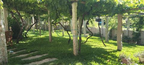 Imagen 59 de Ribadelouro