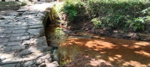 Imagen 66 de Ribadelouro