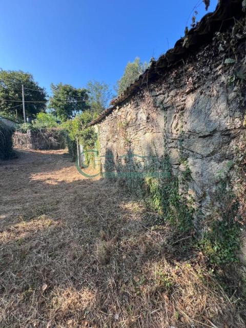Imagen 14 de Cabreira