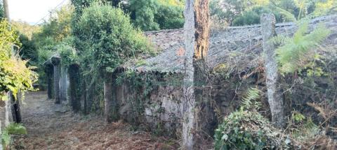 Imagen 19 de Cabreira
