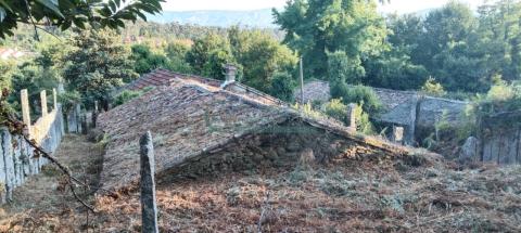 Imagen 33 de Cabreira