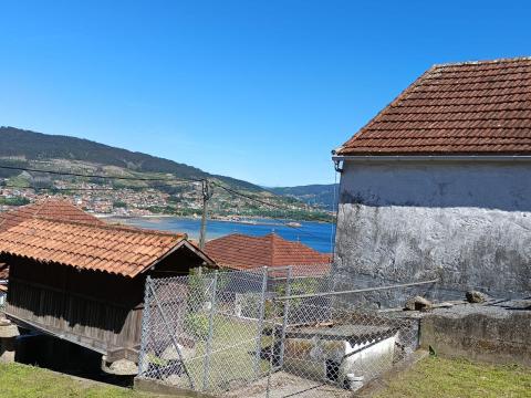 Imagen 45 de San Martiño de Moaña