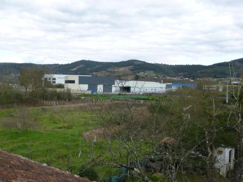 Imagen 48 de San Cristovo de Regodeigón