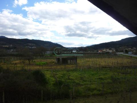 Imagen 53 de San Cristovo de Regodeigón