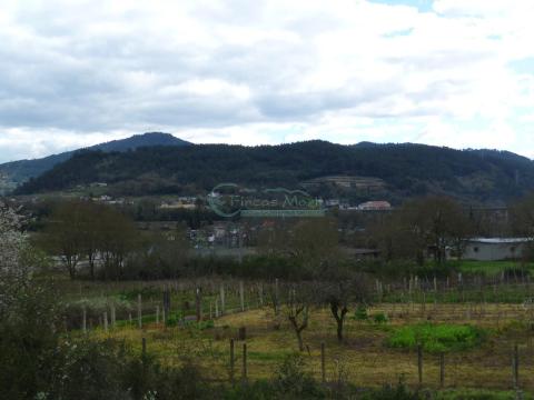 Imagen 55 de San Cristovo de Regodeigón