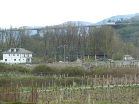 Imagen 57 de San Cristovo de Regodeigón