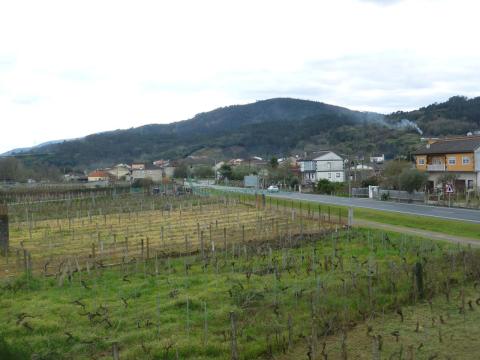 Imagen 59 de San Cristovo de Regodeigón