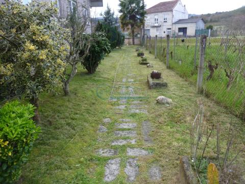 Imagen 81 de San Cristovo de Regodeigón
