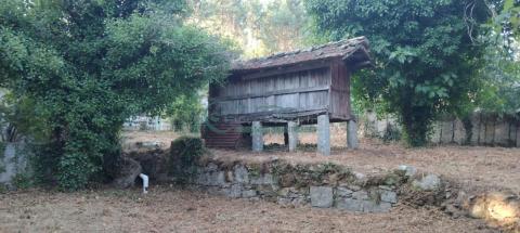Imagen 6 de Cabreira