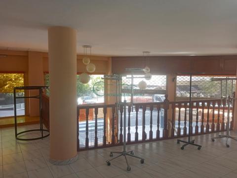 Imagen 5 de Teis