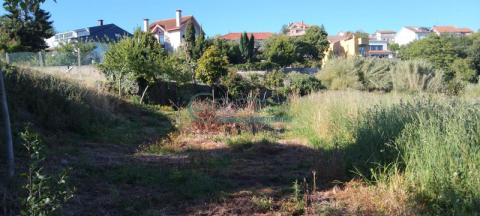 Imagen 2 de Vigo