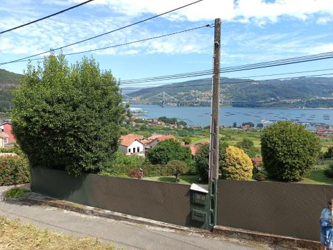 Imagen 2 de Domaio